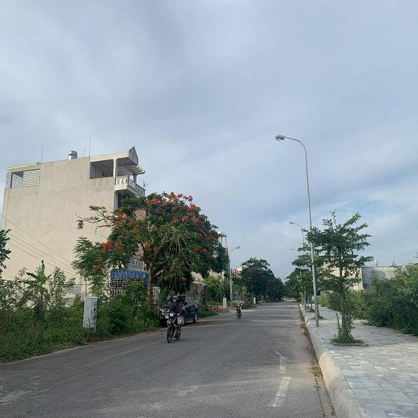 duong kinh newcity gia re