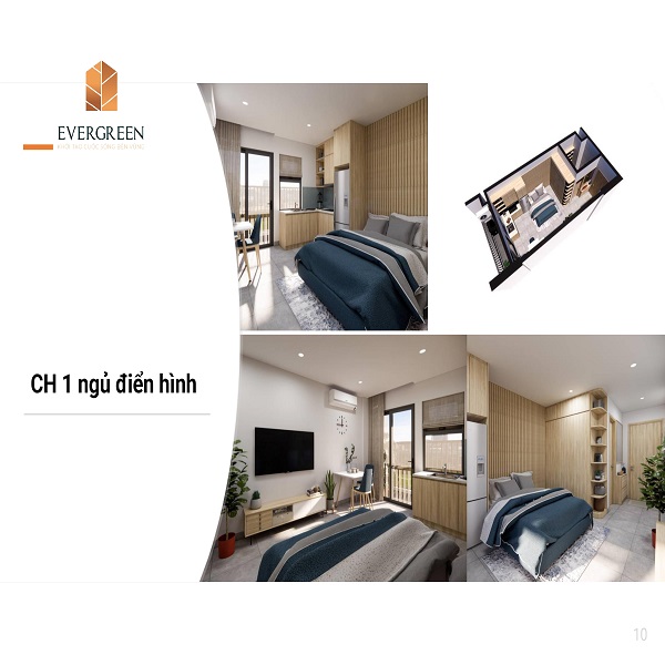 can 1 ngu evergreen trang due