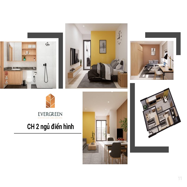 can 2 ngu evergreen trang due