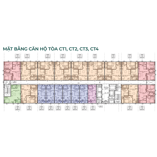 mat bang nha o xa hoi evergreen trang due hai phong